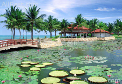 Dusit Resort Hua Hin 3